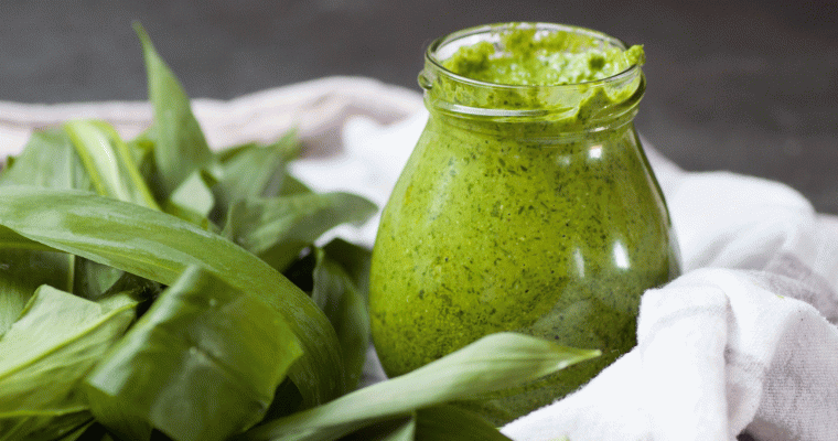 Wild Garlic (Bärlauch) – Why not make pesto?